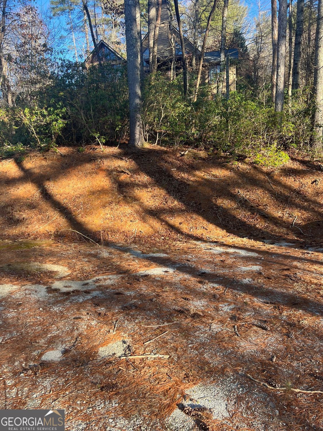 0 Sylvan Lake Drive, Unit 47 48 Rabun Gap, GA 30568 - Photo 8 of 12