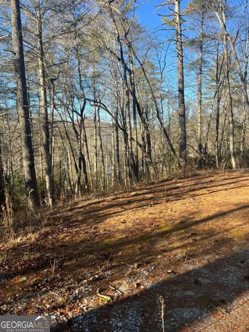 $109,900 | 0 Sylvan Lake Drive, Unit 47 48, Rabun Gap, GA 30568