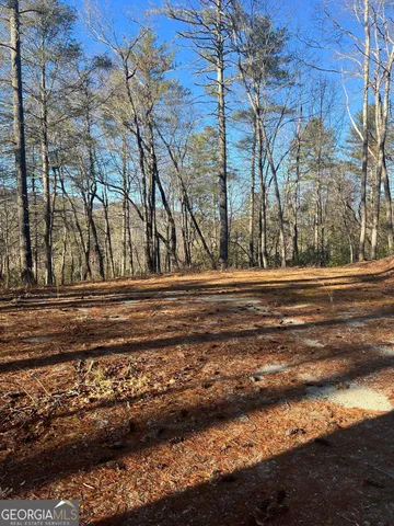 $109,900 | 0 Sylvan Lake Drive, Unit 47 48, Rabun Gap, GA 30568