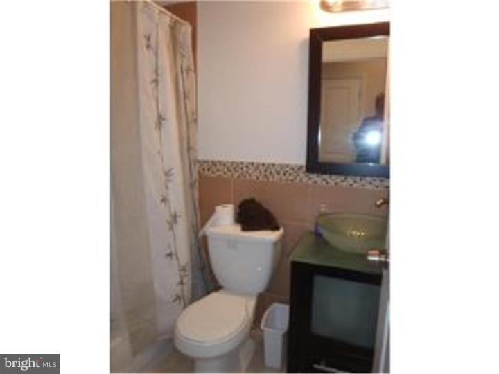 2115 Carpenter Street, Unit 2 Philadelphia, PA 19146 - Photo 22 of 24 Bathroom