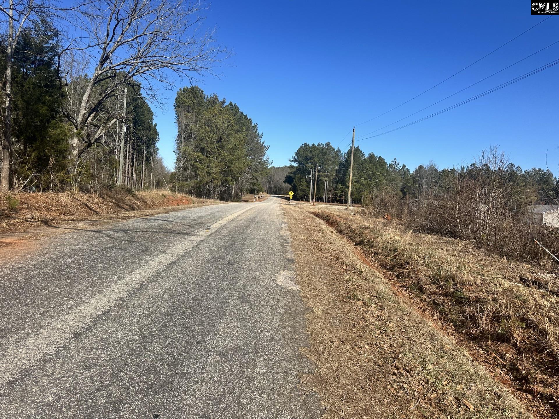 0 Morris Road Prosperity, SC 29127 - Photo 2 of 9