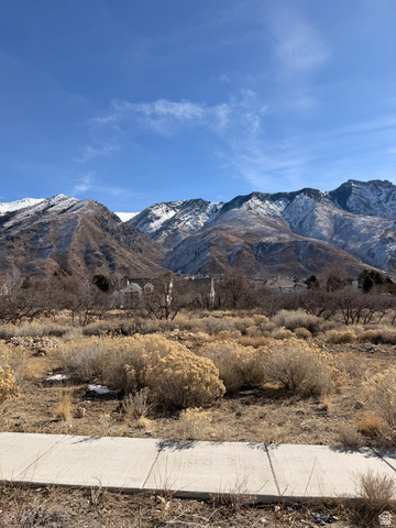 1664 North Dean Court, Unit 5 Alpine, UT 84004 - Photo 12 of 18