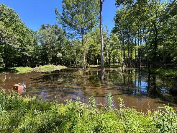 $2,820,000 | 0 County Road 3102, West, MS 39192