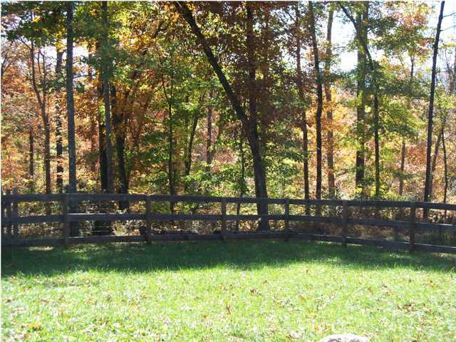 115 Oak Tree Road Spring City, TN 37381 - Photo 23 of 25 Additional Photo
