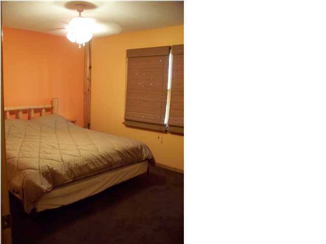 115 Oak Tree Road Spring City, TN 37381 - Photo 10 of 25 Additional Photo