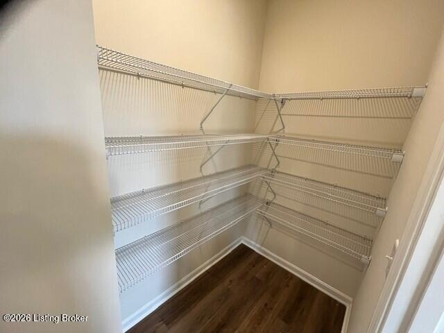 8309 Fairmount Road Louisville, KY 40291 - Photo 7 of 23 Walk-In Pantry
