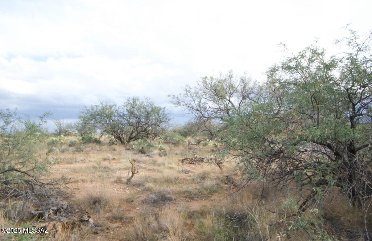 14536 West Diamond Bell Ranch Road, Unit 406 Tucson, AZ 85736 - Photo 14 of 16