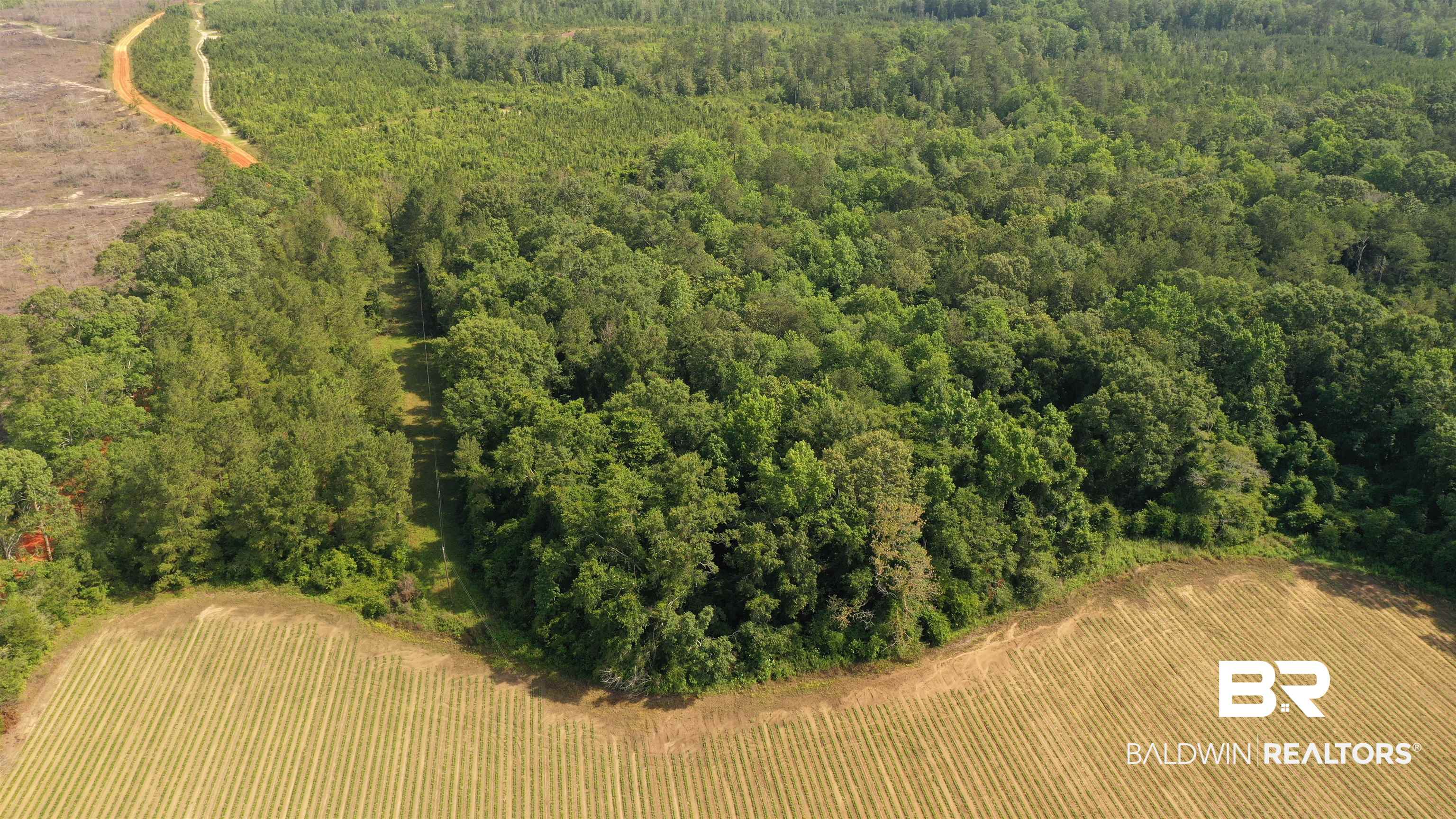 1 Travis Road Brewton, AL 36426 - Photo 10 of 28
