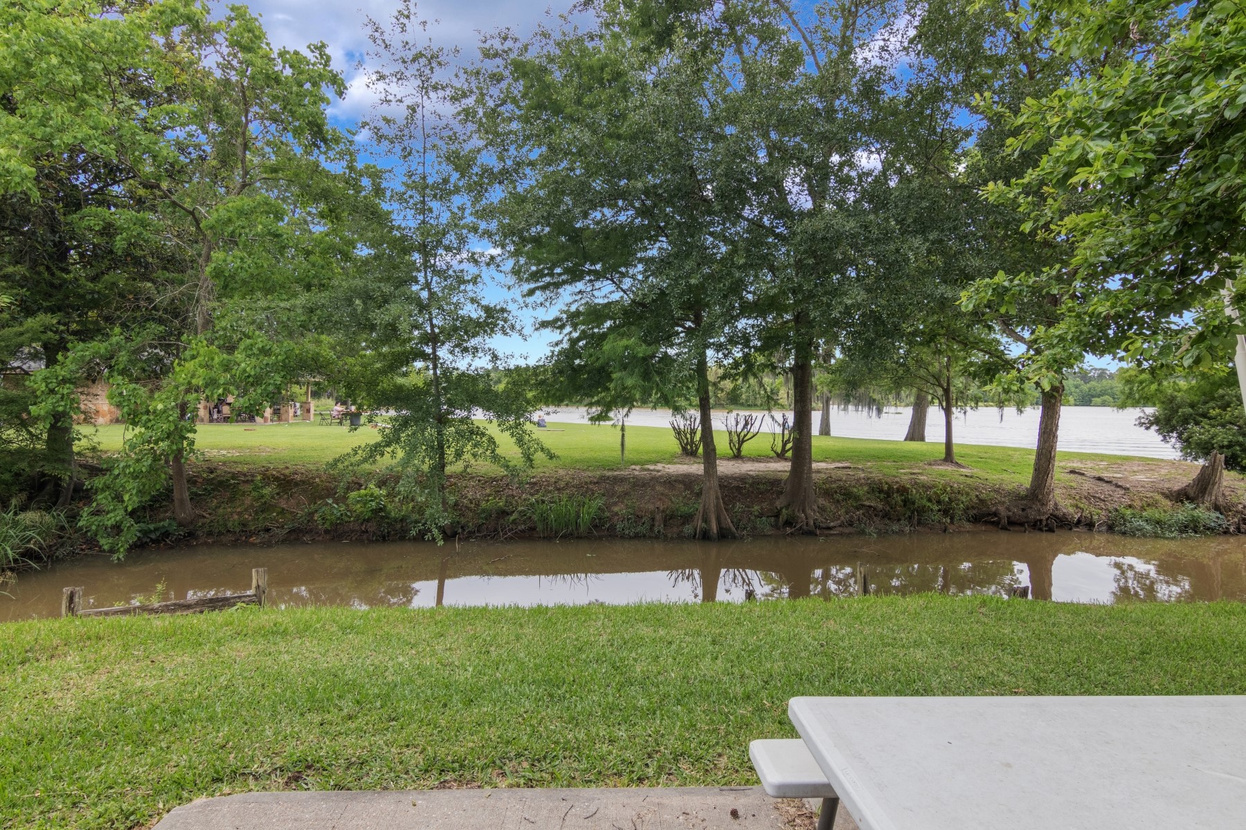 134 Magnolia Point Drive Houston, TX 77336 - Photo 27 of 31 a view of a park with large trees