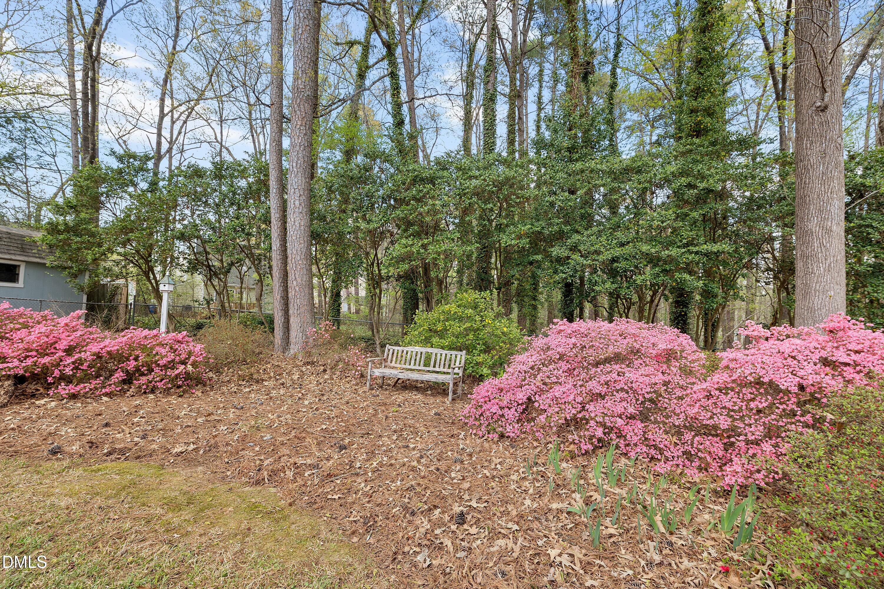 1429 Falls Church Road Raleigh, NC 27609 - Photo 49 of 60 a view of a backyard with plants and large trees
