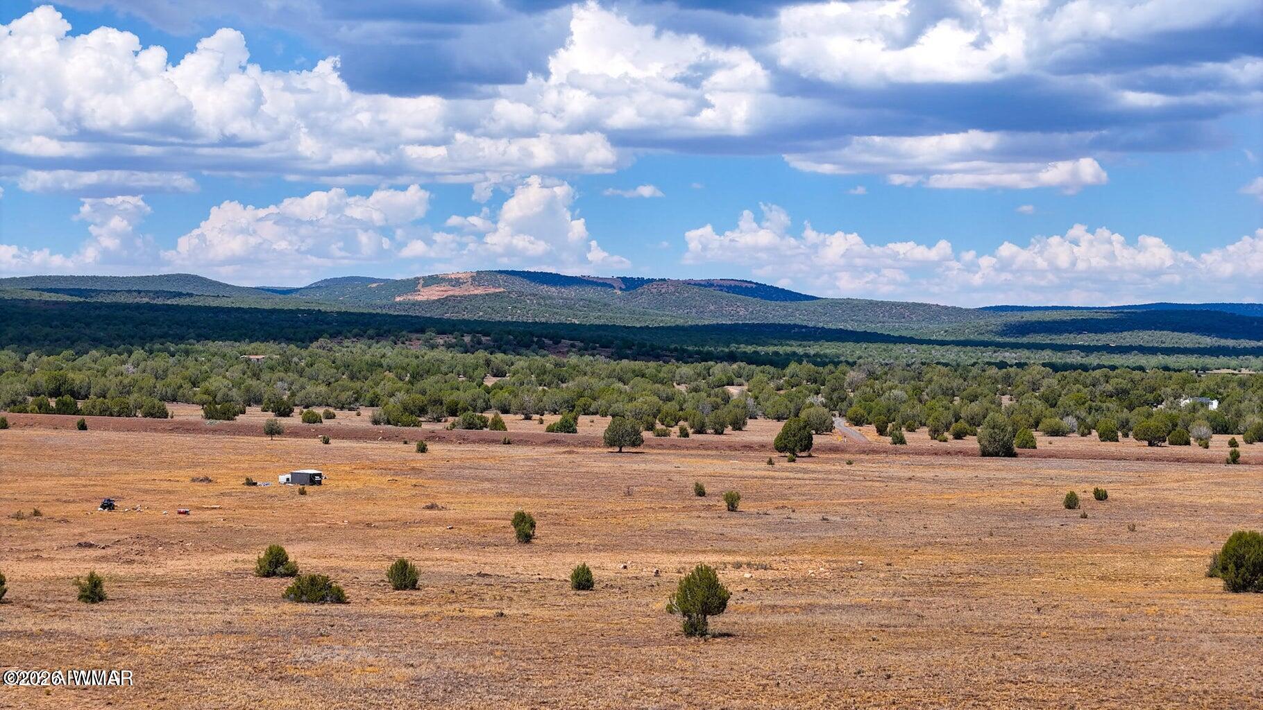215 Gleed Station Road Ash Fork, AZ 86320 - Photo 12 of 20 Gallery Image 12