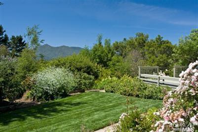 a view of a yard with a tree