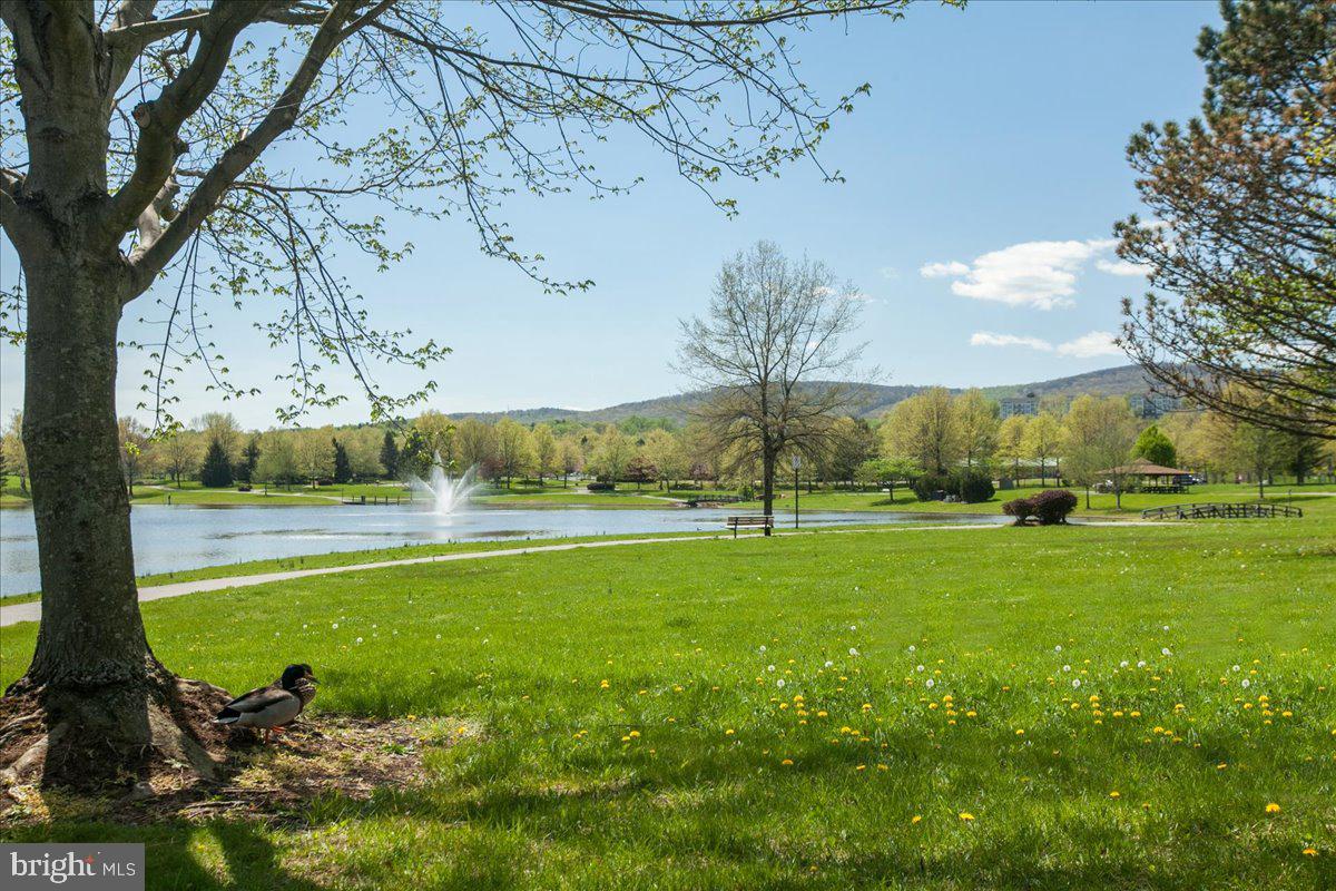 2230 Wetherburne Way Frederick, MD 21702 - Photo 44 of 58 Gallery Image 44