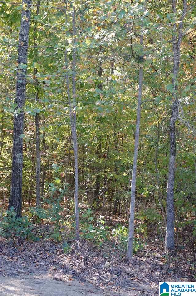 398 Fossil Rock Road Springville, AL 35146 - Photo 41 of 42