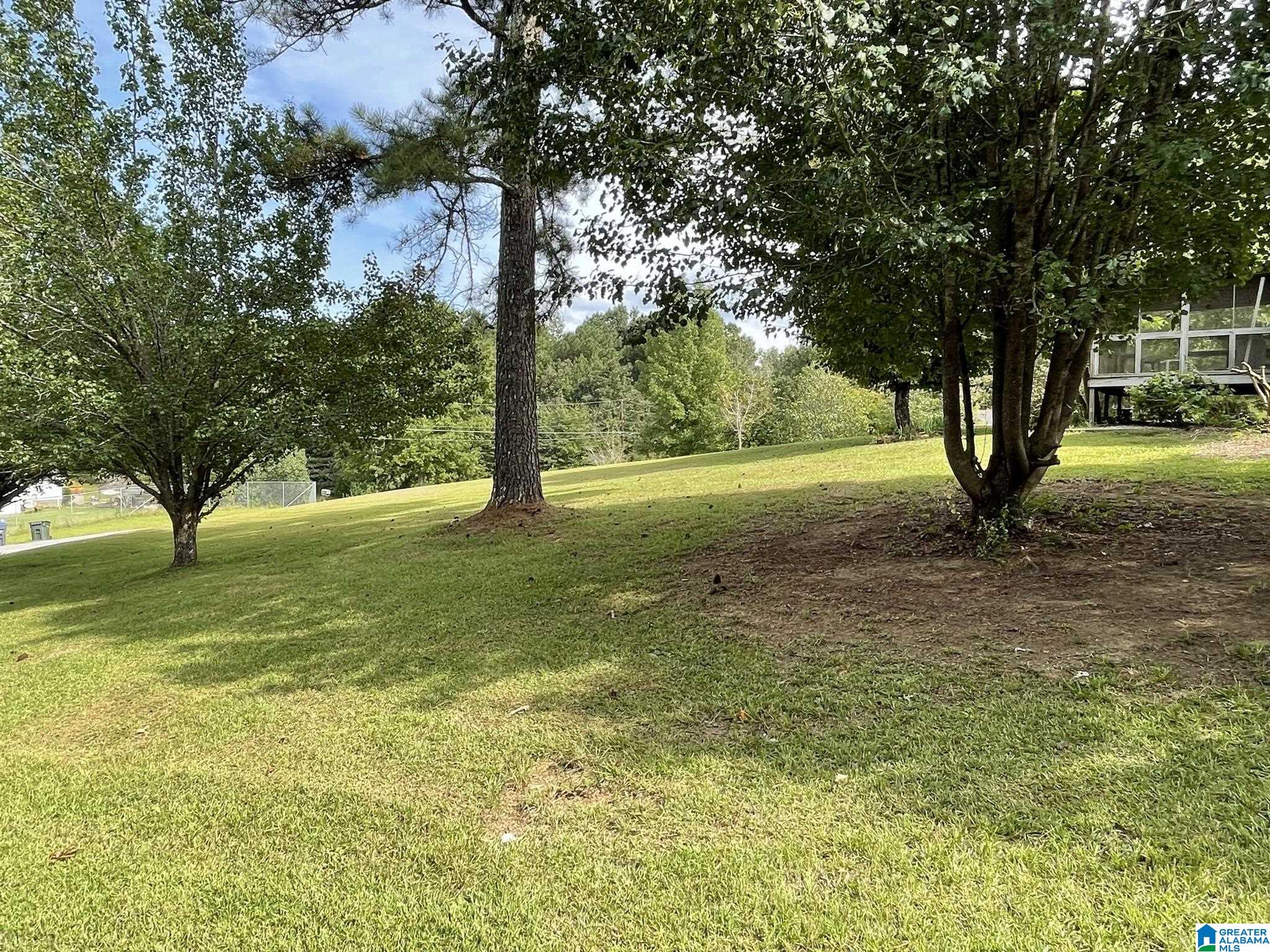 4465 Cook Springs Road Pell City, AL 35125 - Photo 13 of 26