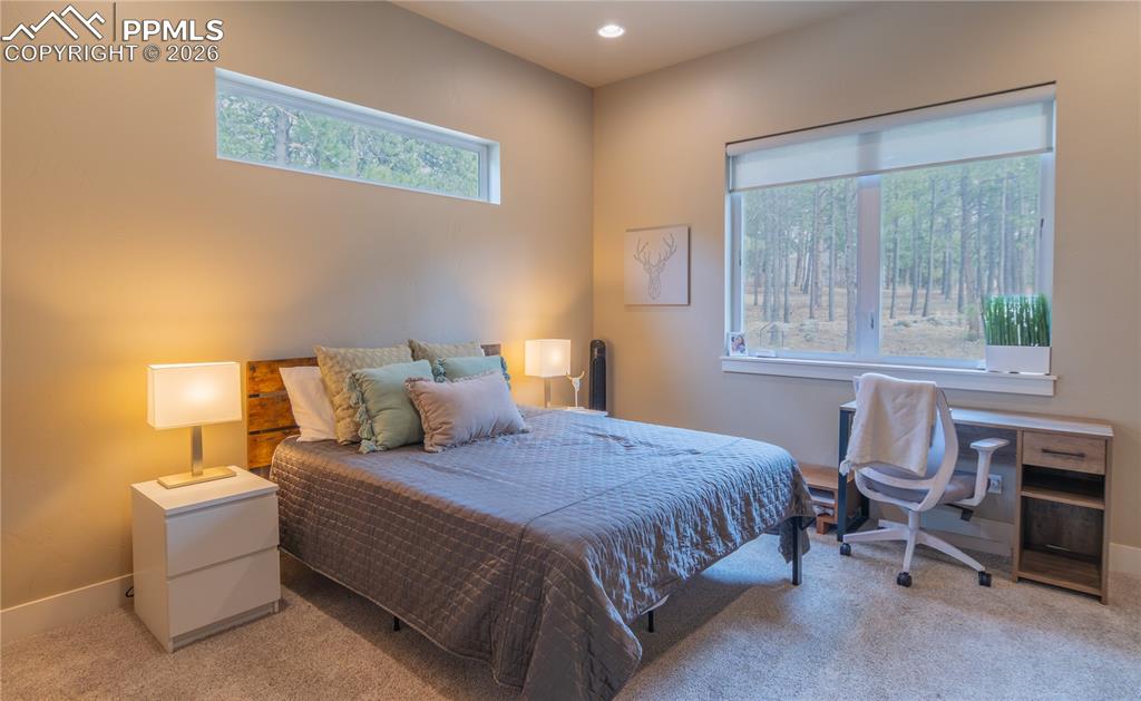 19795 Sleepy Hollow Road Monument, CO 80132 - Photo 24 of 50