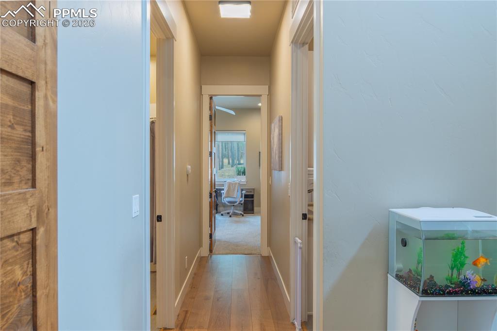 19795 Sleepy Hollow Road Monument, CO 80132 - Photo 25 of 50