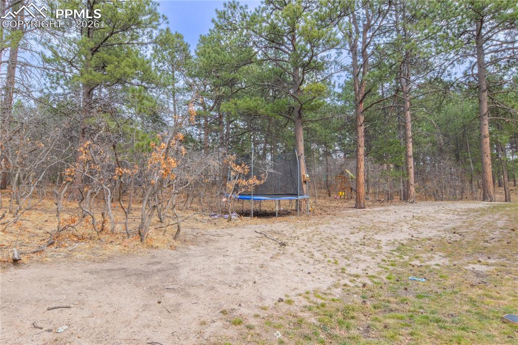 19795 Sleepy Hollow Road Monument, CO 80132 - Photo 47 of 50