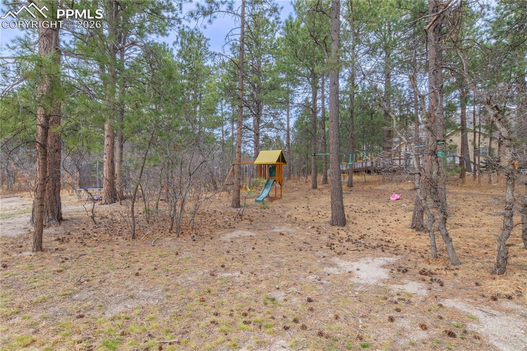 19795 Sleepy Hollow Road Monument, CO 80132 - Photo 48 of 50