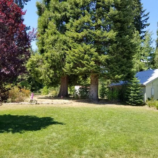 400 Red Blanket Road Prospect, OR 97536 - Photo 5 of 19 Additional Photo