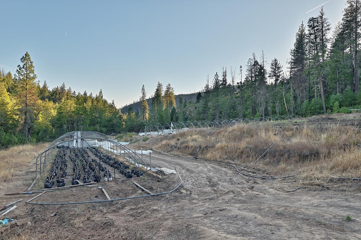 14738 Ramsey Road White City, OR 97503 - Photo 55 of 55 DSC_1413 copy
