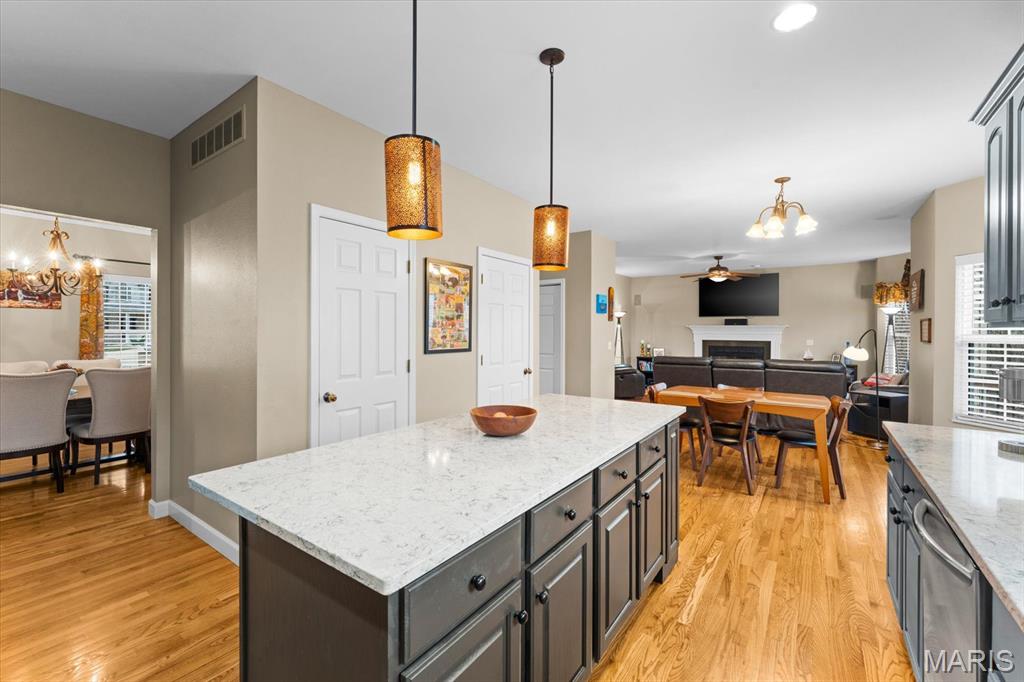 308 Orange Jewel Court O'Fallon, IL 62269 - Photo 17 of 62