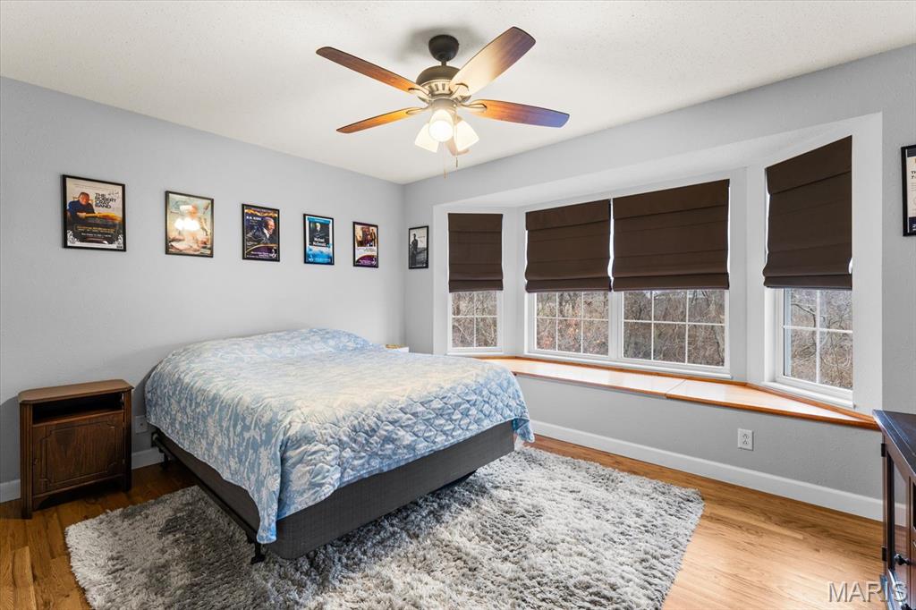 308 Orange Jewel Court O'Fallon, IL 62269 - Photo 30 of 62