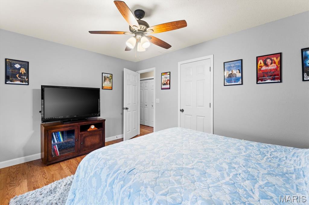 308 Orange Jewel Court O'Fallon, IL 62269 - Photo 31 of 62