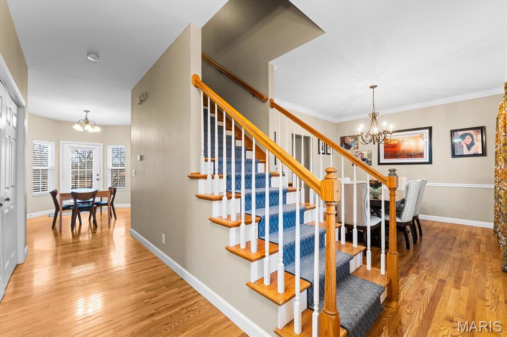 308 Orange Jewel Court O'Fallon, IL 62269 - Photo 5 of 62