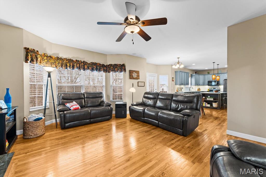 308 Orange Jewel Court O'Fallon, IL 62269 - Photo 9 of 62