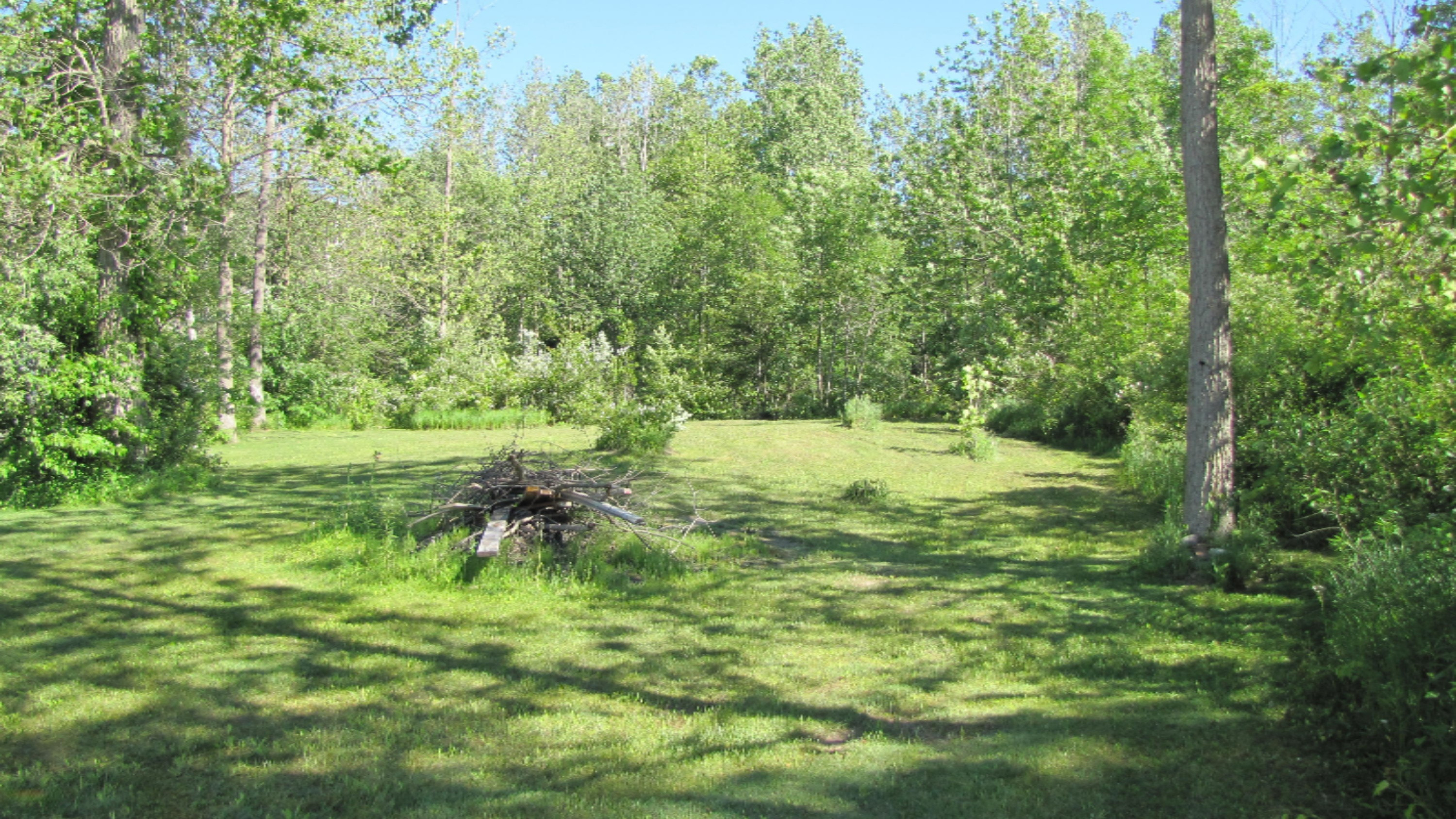 Joseph Road Vandalia, MI 49095 - Photo 3 of 6 level building site