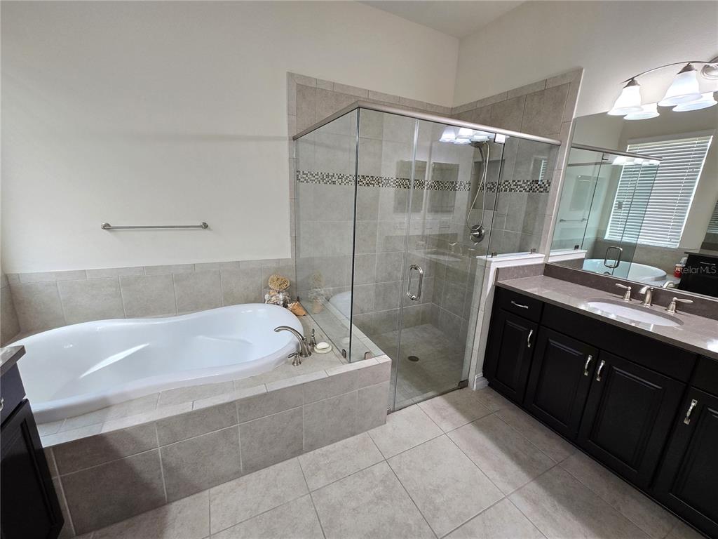 11925 Perennial Place Lakewood Ranch, FL 34211 - Photo 13 of 39 a bathroom with a bathtub and a sink