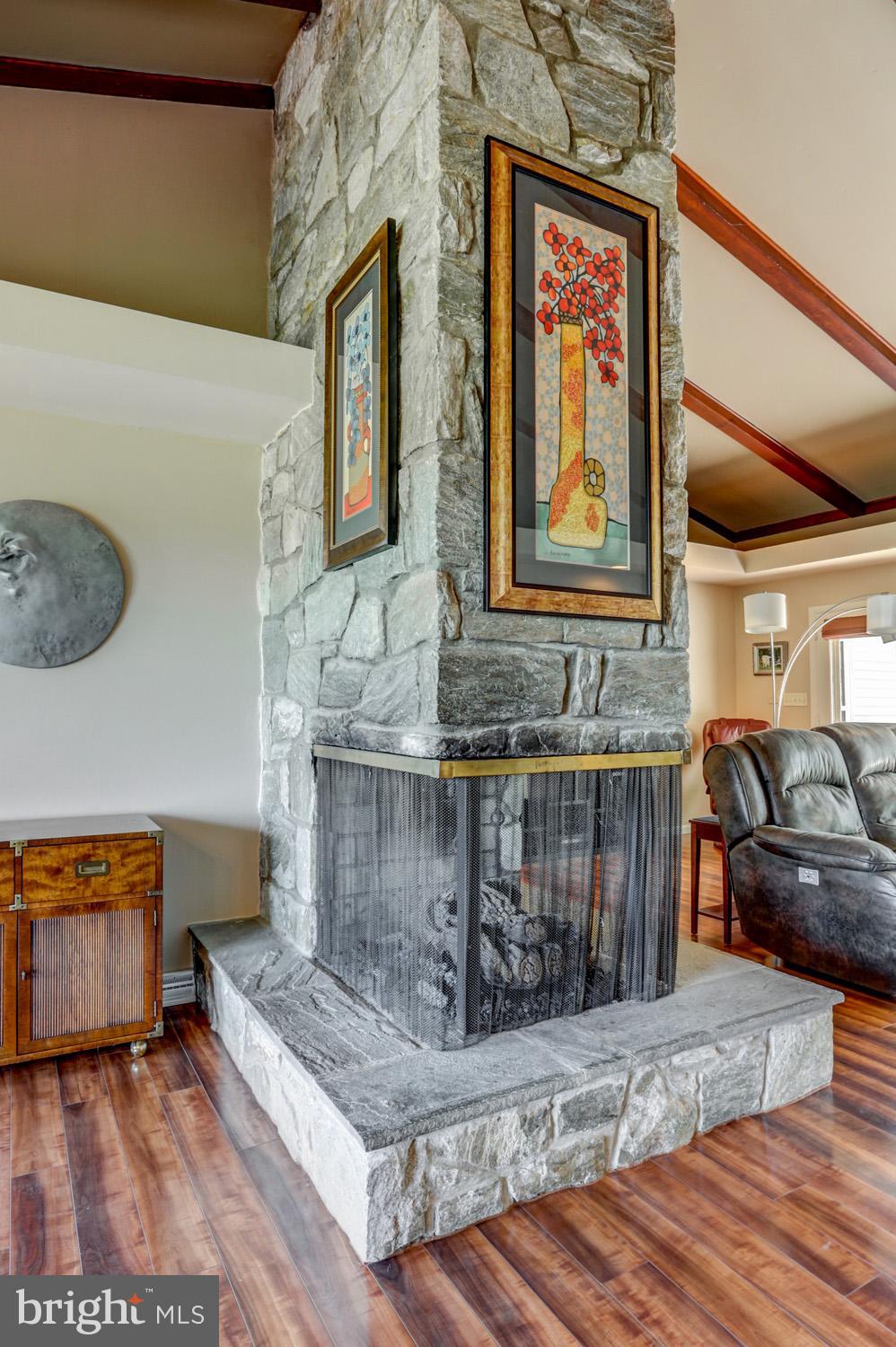 121 Ebersole Road Ephrata, PA 17522 - Photo 23 of 89 3 sided Gas Fireplace