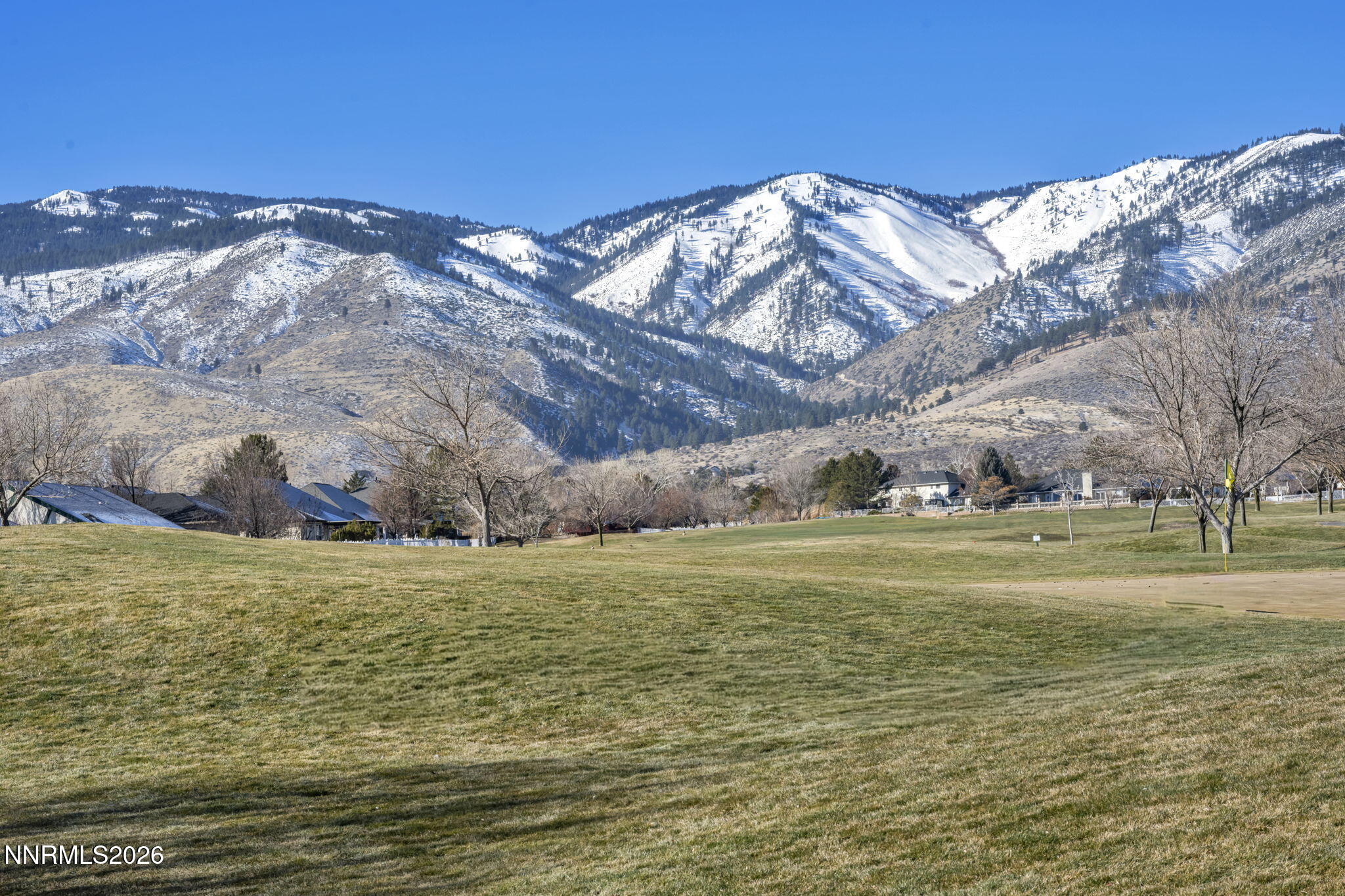 2296 Oak Ridge Drive Carson City, NV 89703 - Photo 63 of 71 a view of a big yard next to a building
