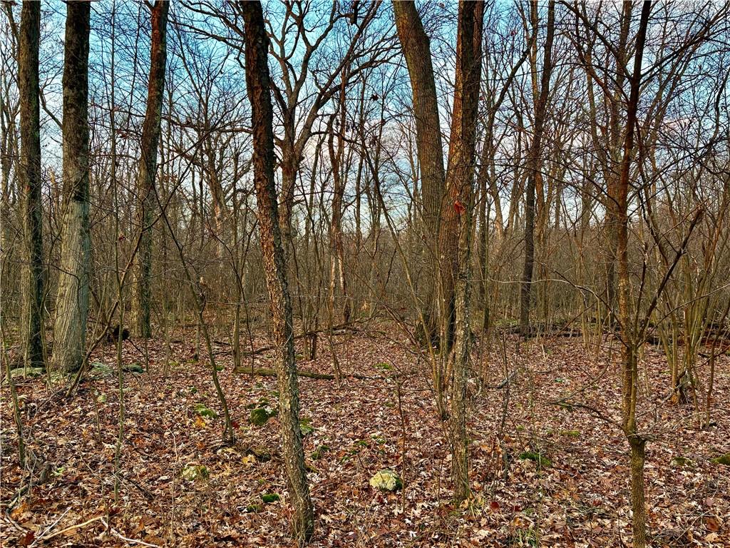 0 Rustic Ridge Road Champion, PA 15622 - Photo 2 of 7 a view of a yard with large trees