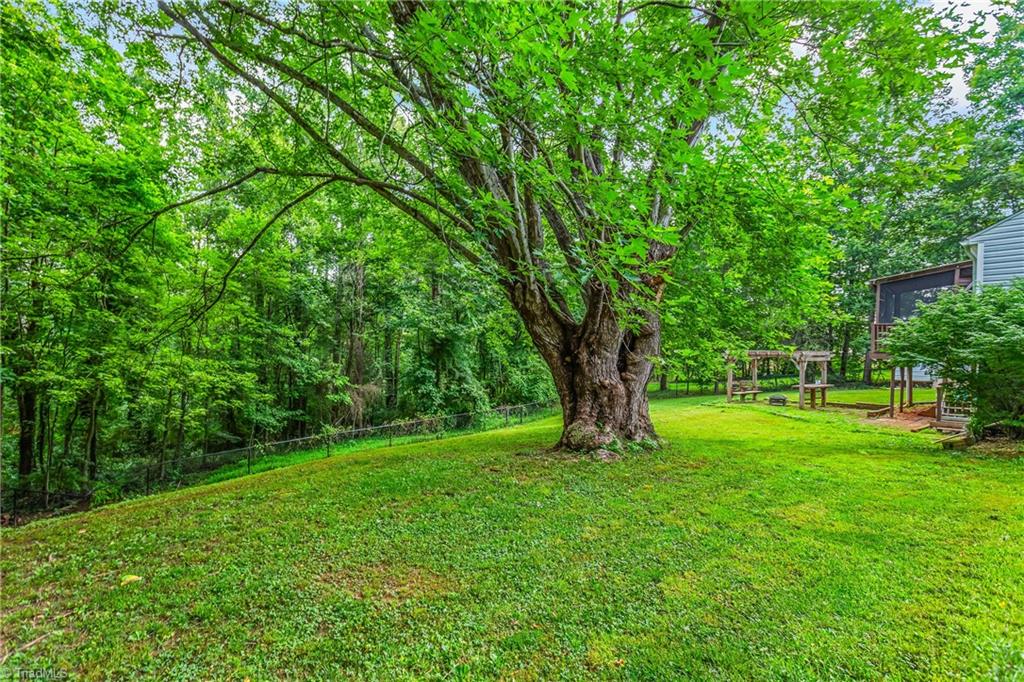 1093 Gordon Road Pinnacle, NC 27043 - Photo 28 of 35