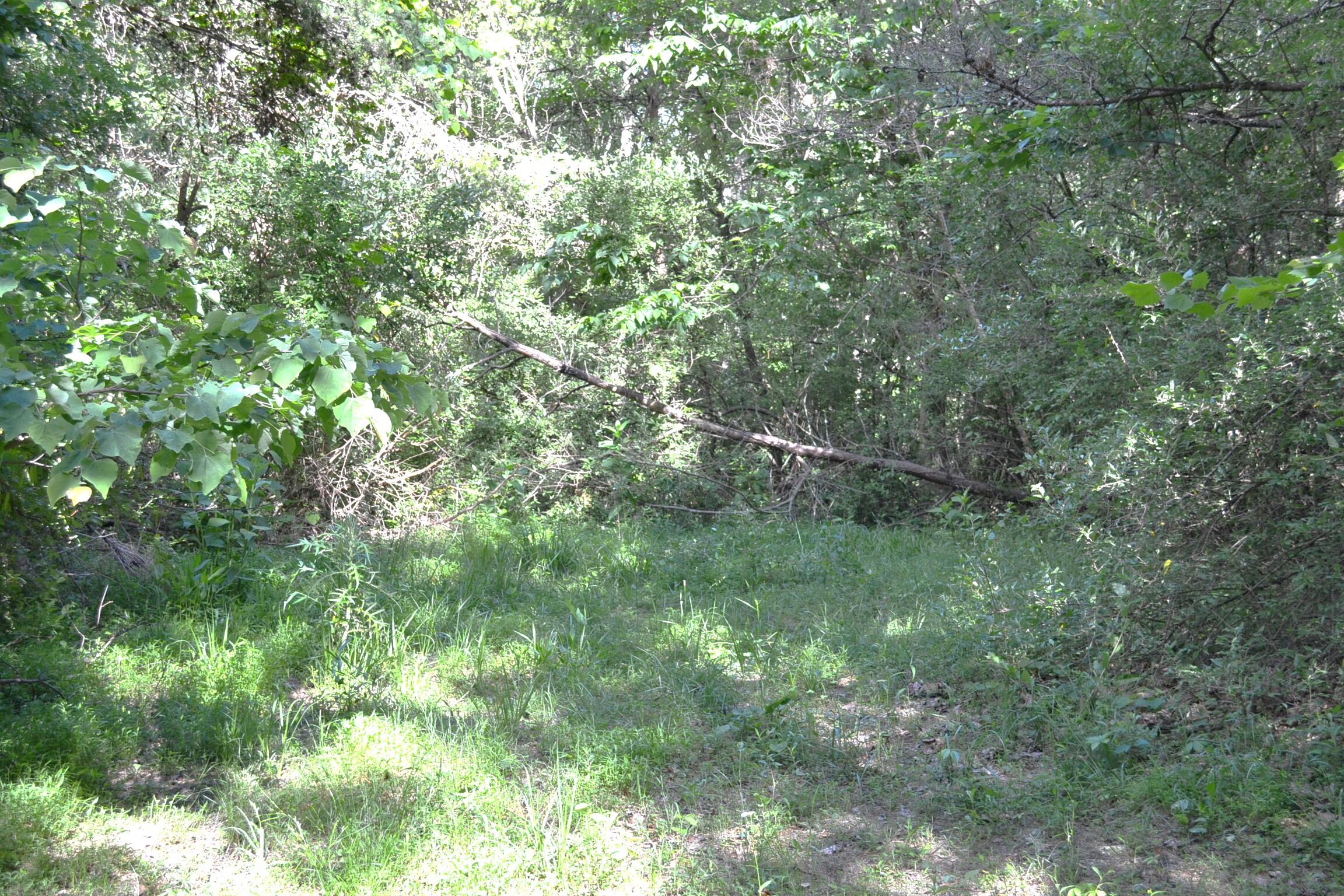 1546 Wilson Mill Road Peterstown, WV 24963 - Photo 10 of 35 Gallery Image 10