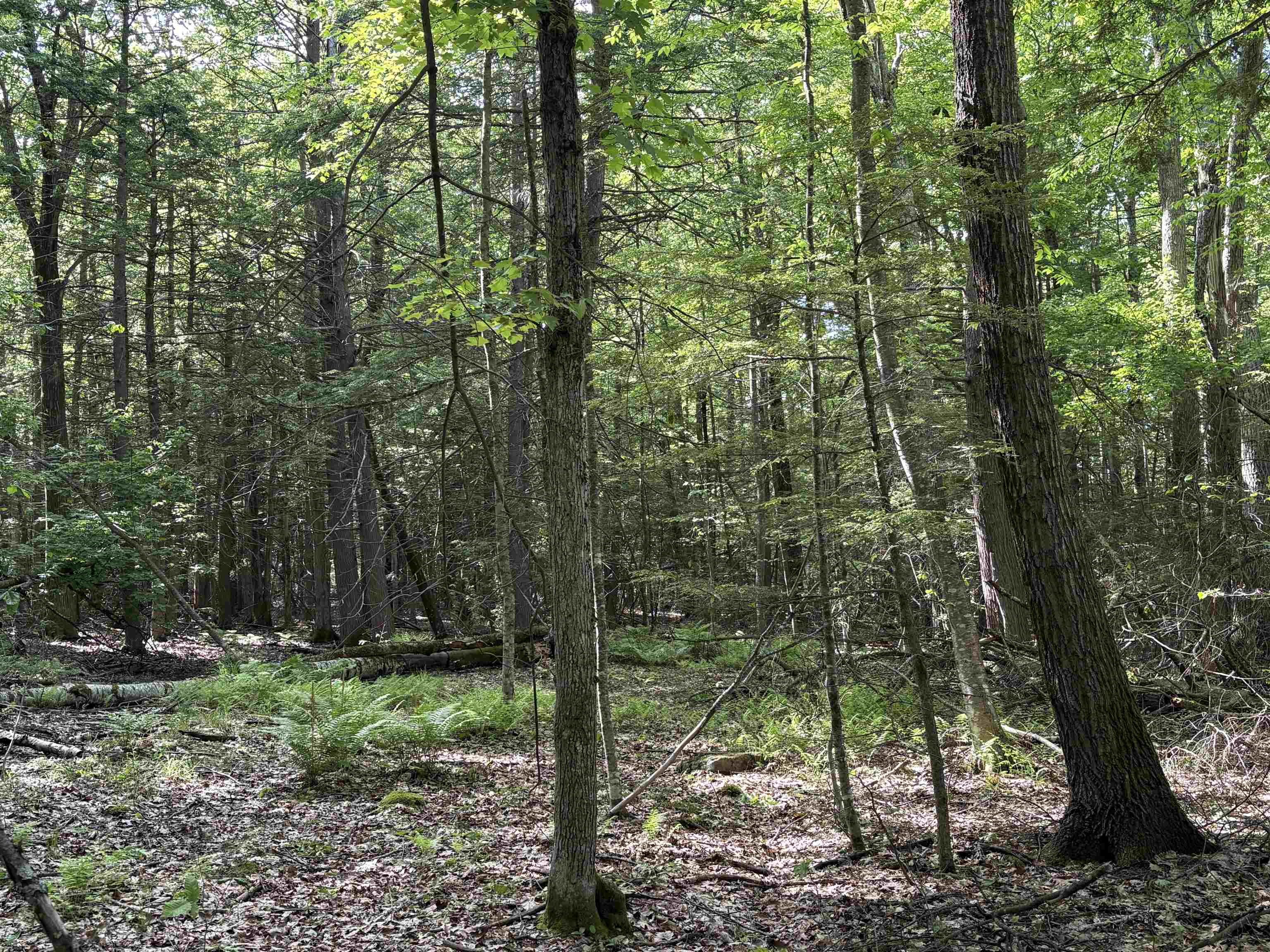 Lot 85 Currier Road Candia, NH 03034 - Photo 6 of 14