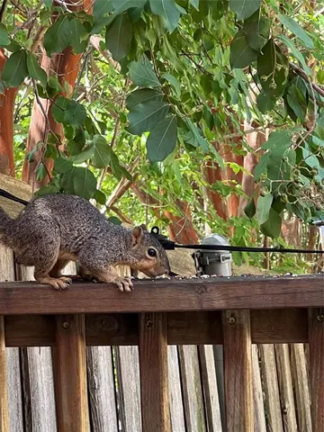 a view of a green field with wooden fence