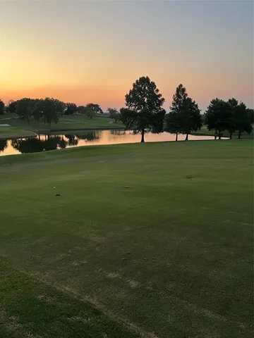 a view of a park with large trees