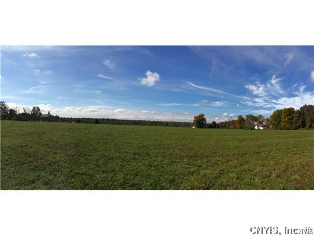 0 Helinger Road West Monroe, NY 13167 - Photo 1 of 1 Land