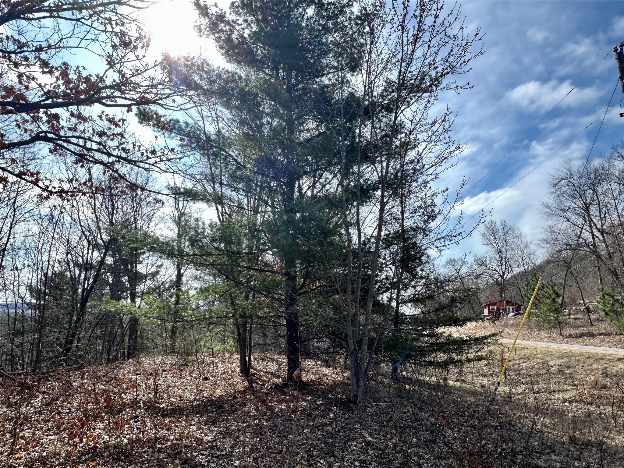 N4548 County Road North Arkansaw, WI 54721 - Photo 15 of 25