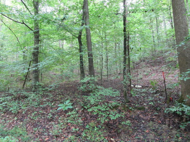 Highland Springs Rutledge, TN 37861 - Photo 3 of 7 IMG_1725