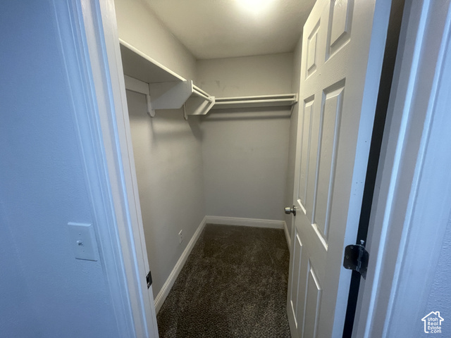 1706 Renaissance Way Springville, UT 84663 - Photo 26 of 31 Carpeted closet with built-in shelving, clothing rod, and overhead lighting