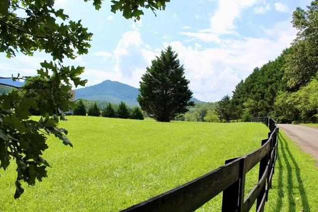 a view of outdoor space and yard