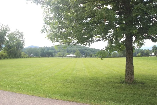 a view of a lake with a yard