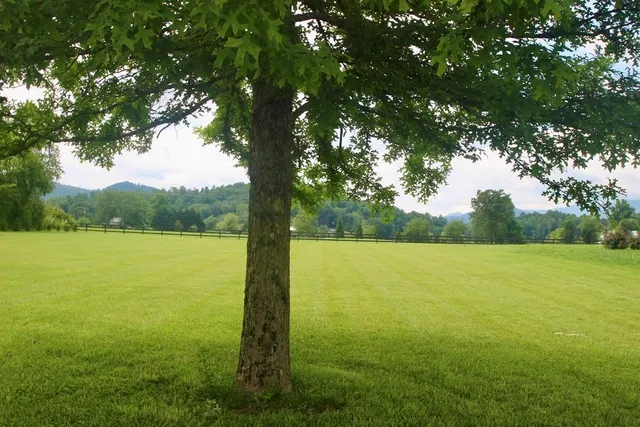 $249,900 | Lot 18 Bell Creek Cove Road, Hiawassee, GA 30546