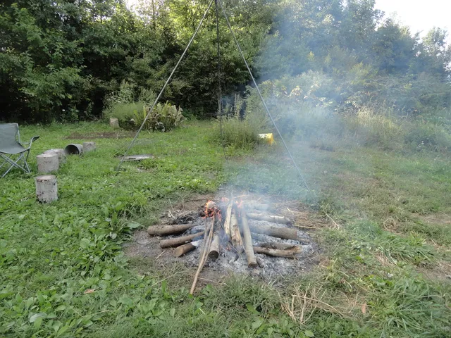 a backyard of a house with lots of green space