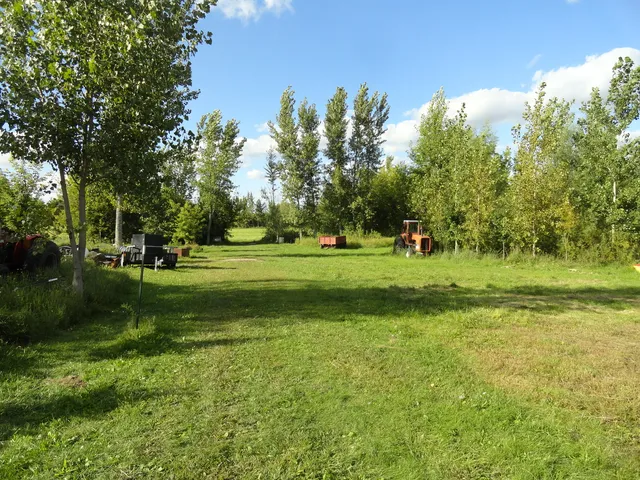 a view of a park with trees and houses