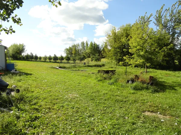 a yard with lots of green space and trees